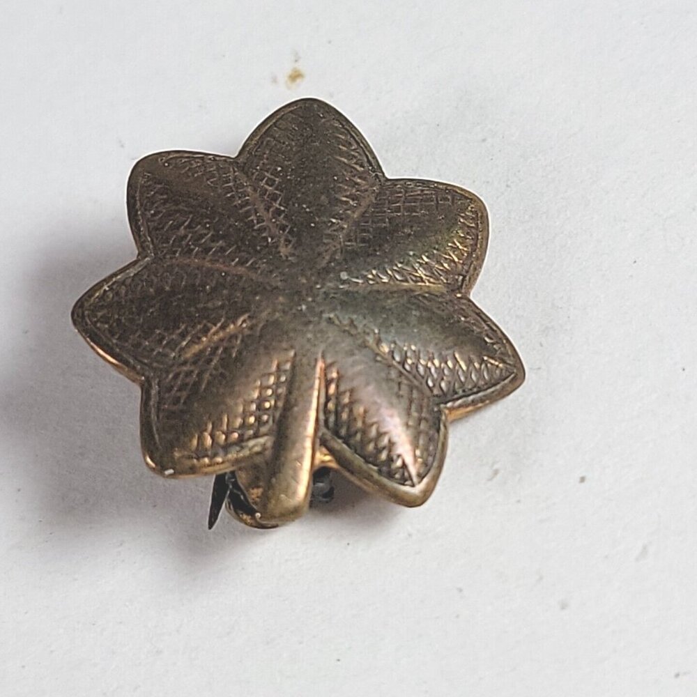 Vintage US Army Colonel Rank Bronze Oak Leaf Cluster Military Insignia Pin